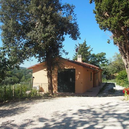 Agriturismo Ardizio 43 페자로 외부 사진