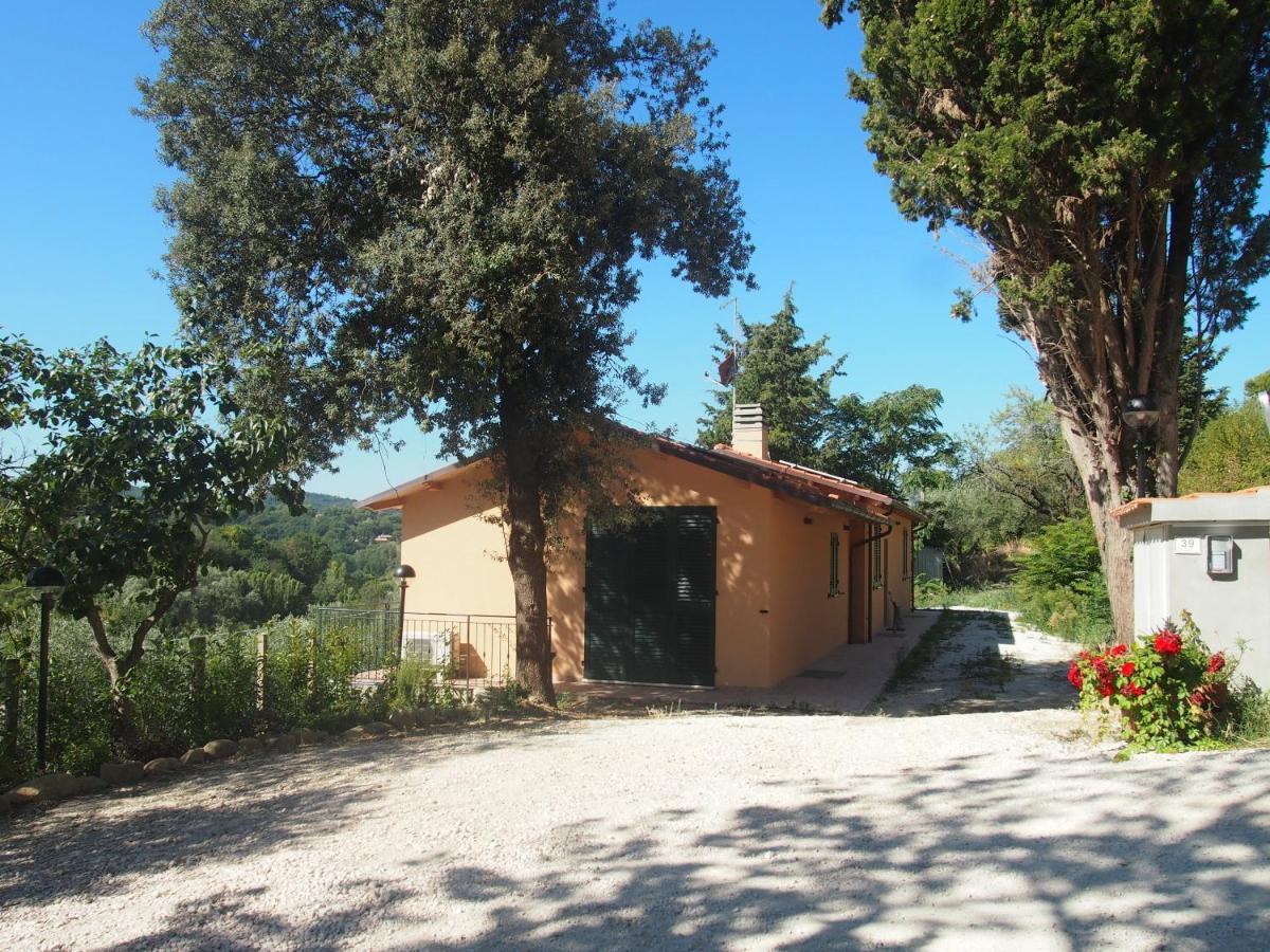 Agriturismo Ardizio 43 페자로 외부 사진