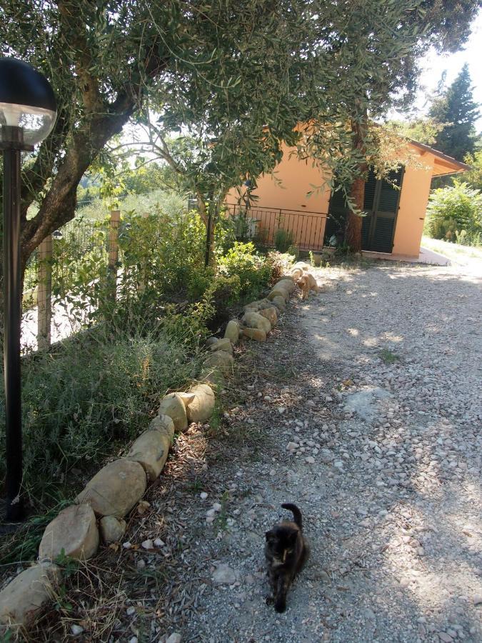 Agriturismo Ardizio 43 페자로 외부 사진