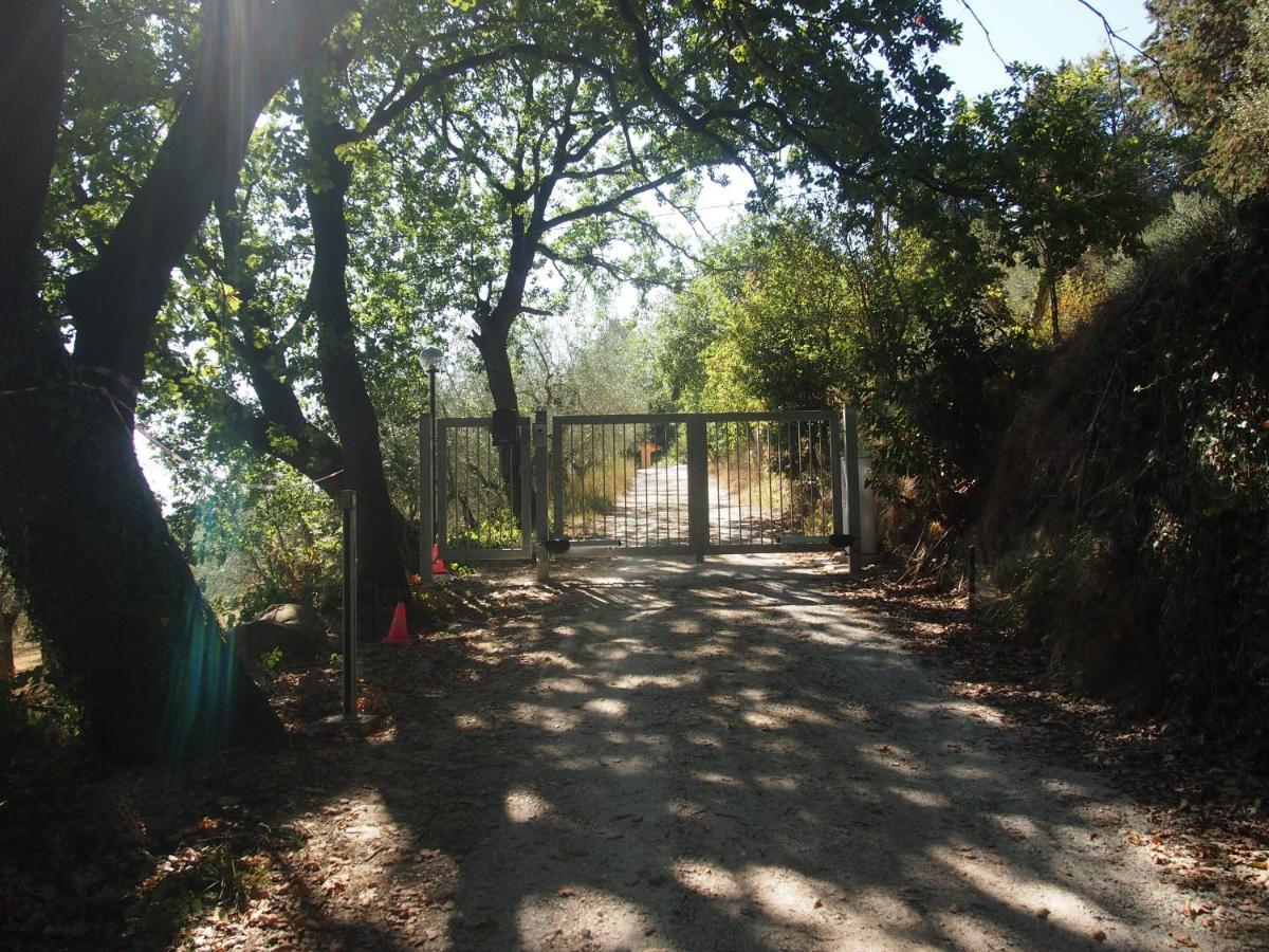 Agriturismo Ardizio 43 페자로 외부 사진