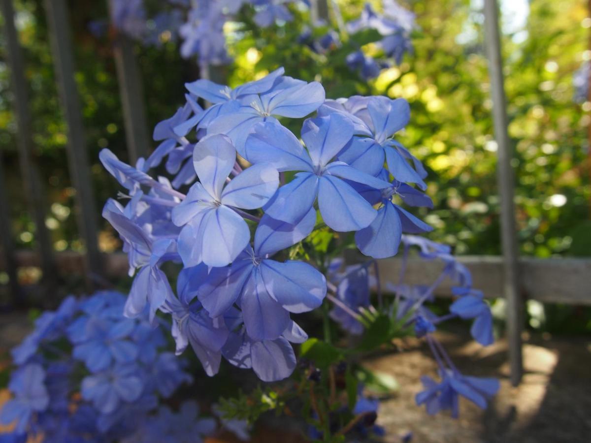 Agriturismo Ardizio 43 페자로 외부 사진