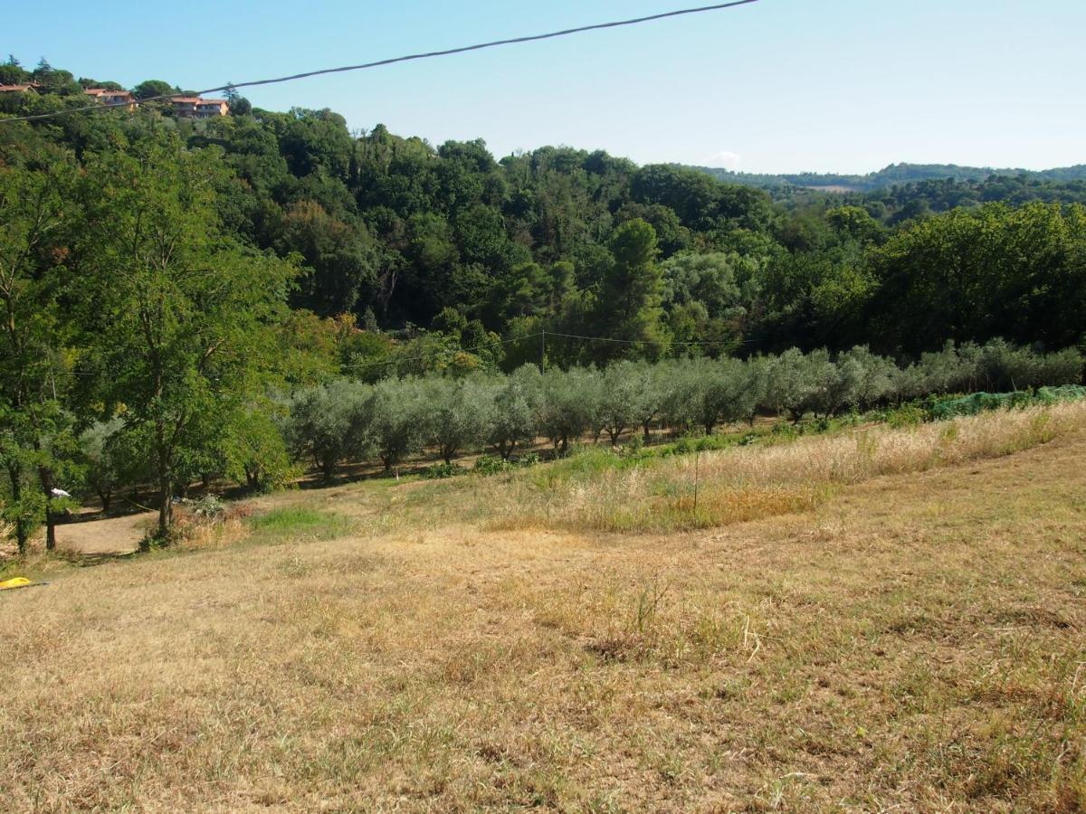 Agriturismo Ardizio 43 페자로 외부 사진